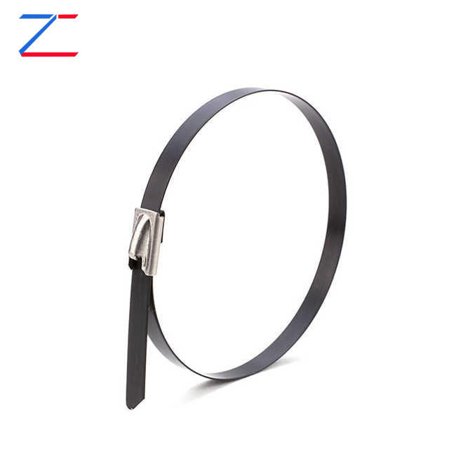 Niyə örtüklü paslanmayan polad kabel bağlarını seçməlisiniz?